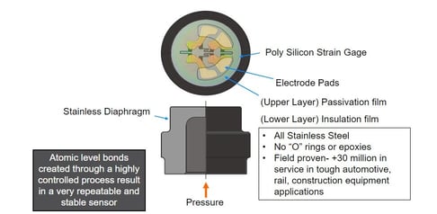 Infografía sobre la ECV