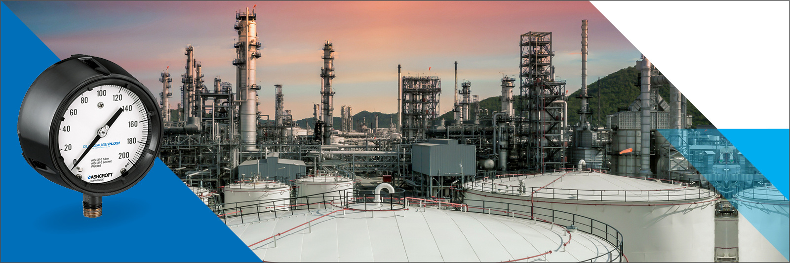 Pressure Gauge for Chemical Plant