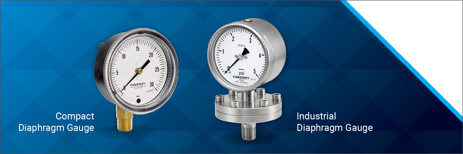 Compact vs Industrial Low-Pressure Diaphragm Gauges