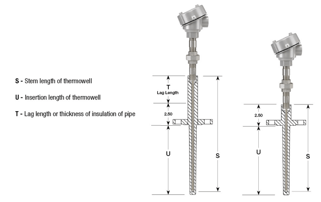 Thermowell with RTD Sensor