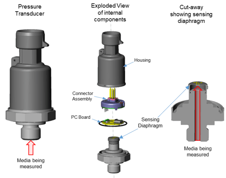 transducer cutaway
