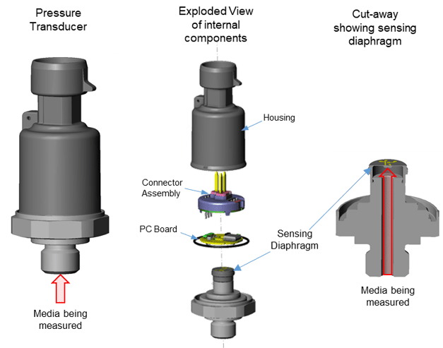 transducer cutaway